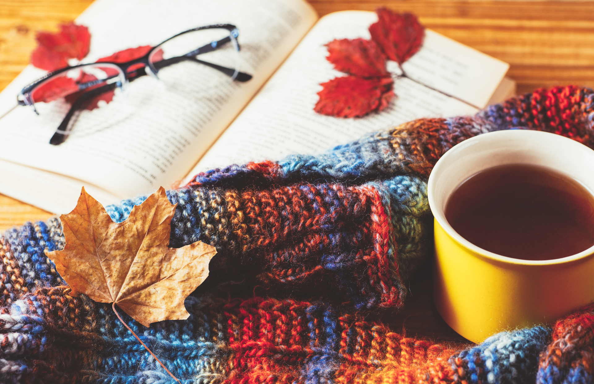 4 Ways to Get Ahead During Winter Break