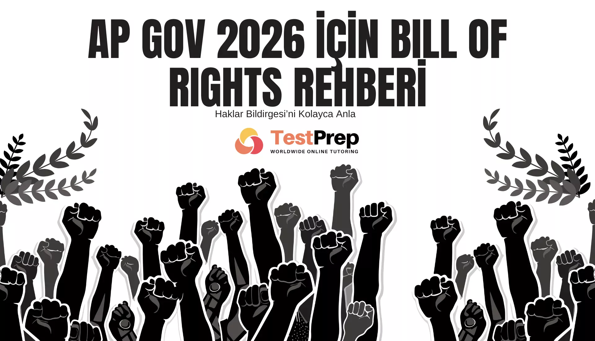 AP Gov 2026 İçin Bill of Rights Rehberi: Haklar Bildirgesi’ni Kolayca Anla