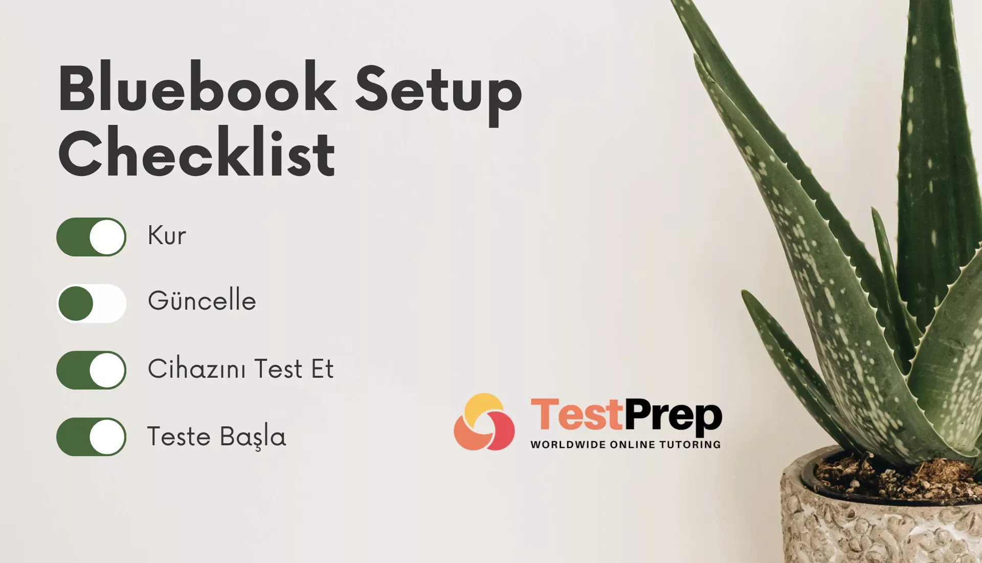 Bluebook Setup Checklist: Kur, Güncelle, Cihazını Test Et