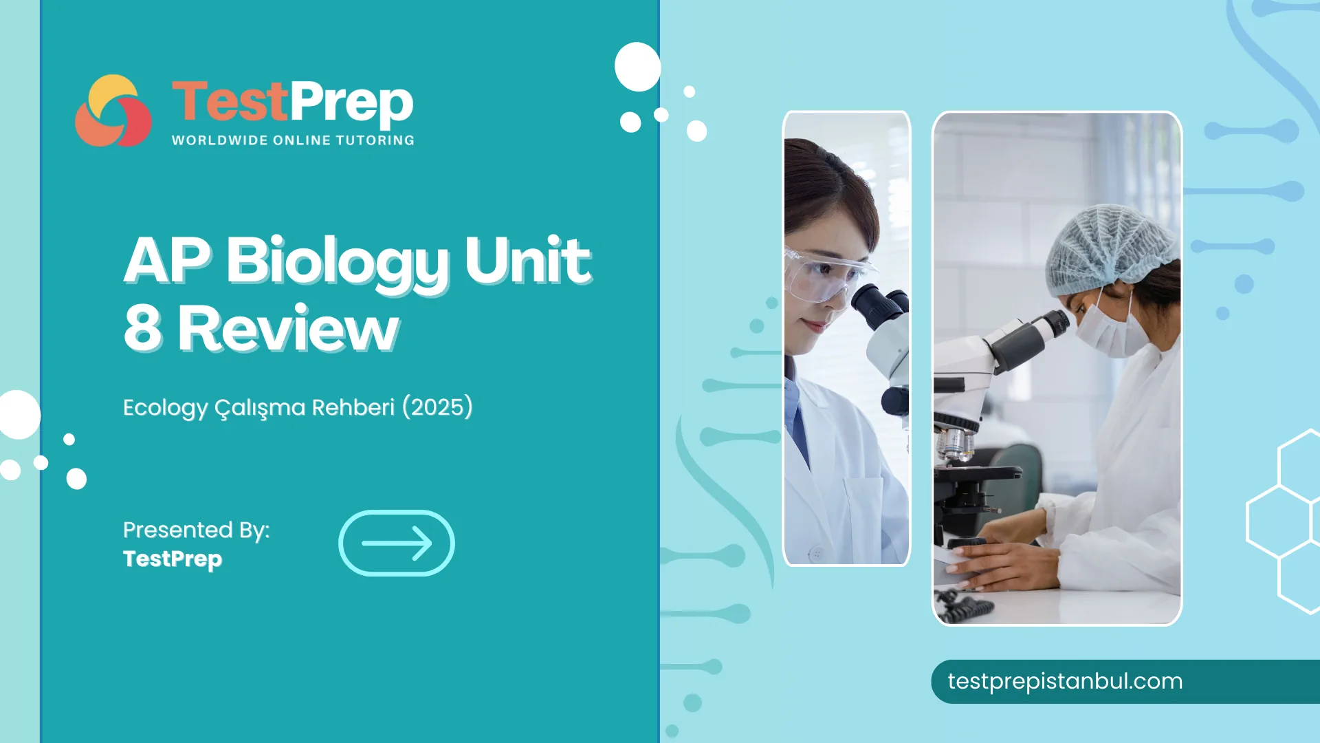 AP Biology Unit 8 Review – Ecology Çalışma Rehberi (2025)