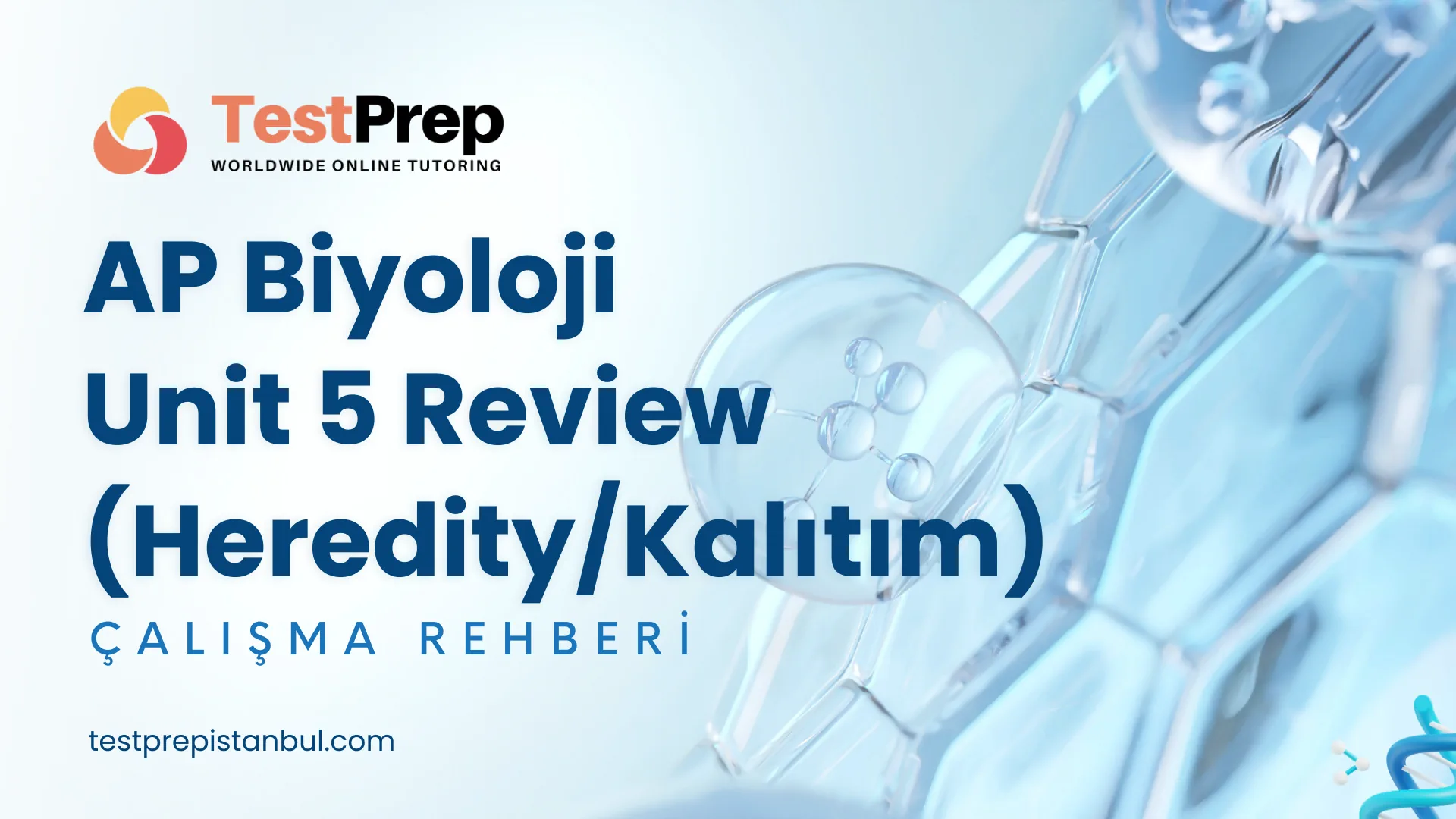 AP Biyoloji Unit 5 Review (Heredity/Kalıtım) Çalışma Rehberi
