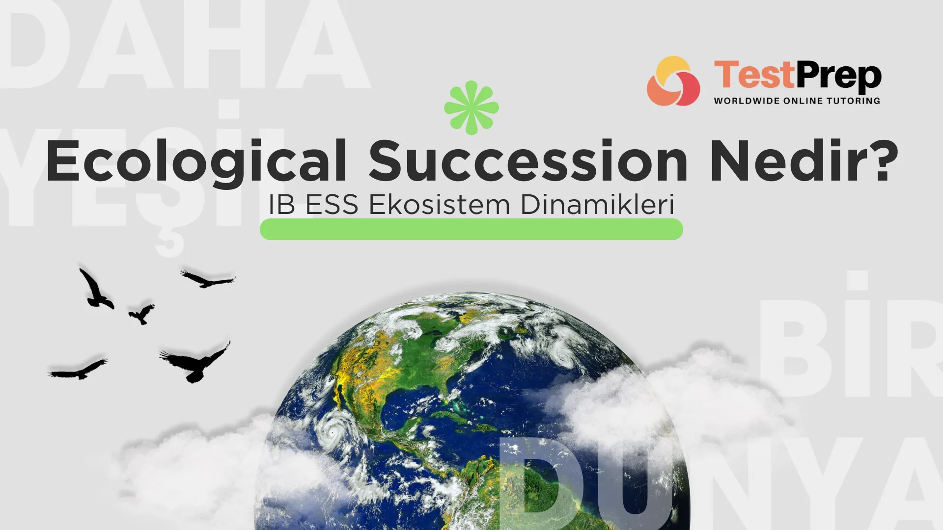 Ecological Succession Nedir? IB ESS Ekosistem Dinamikleri