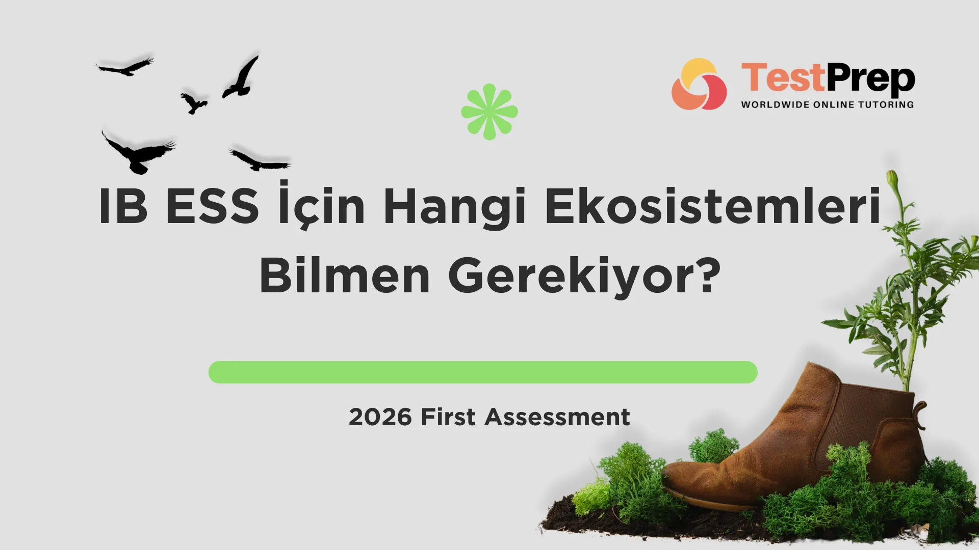 ib-ess-icin-hangi-ekosistemleri-bilmen-gerekiyor-2026 | Test Prep Hazırlık Kursları Özel Ders Yurt Dışı Eğitim Danışmanlığı IB ESS İçin Hangi Ekosistemleri Bilmen Gerekiyor? (2026)