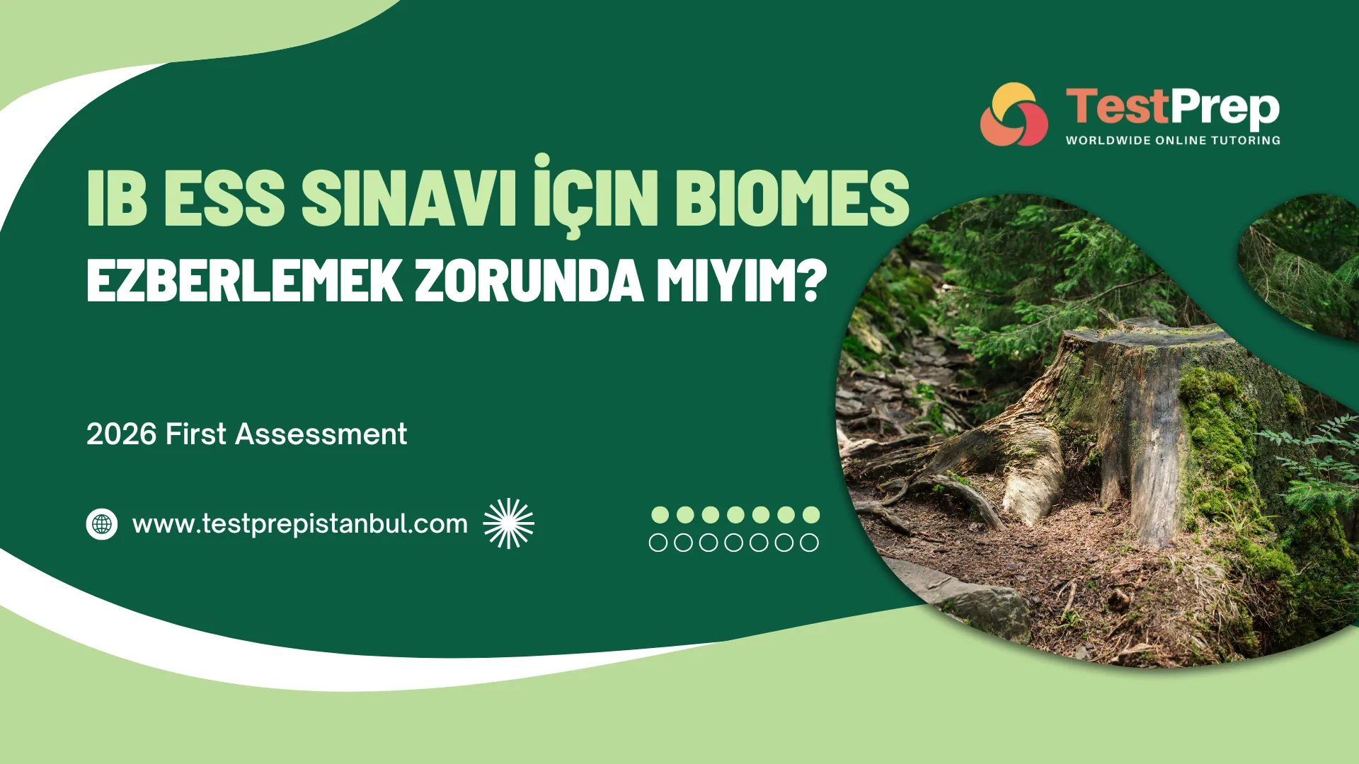 ib-ess-sinavi-icin-biomes-ezberlemek-zorunda-miyim-2026 | Test Prep Hazırlık Kursları Özel Ders Yurt Dışı Eğitim Danışmanlığı IB ESS Sınavı İçin Biomes Ezberlemek Zorunda mıyım? (2026)