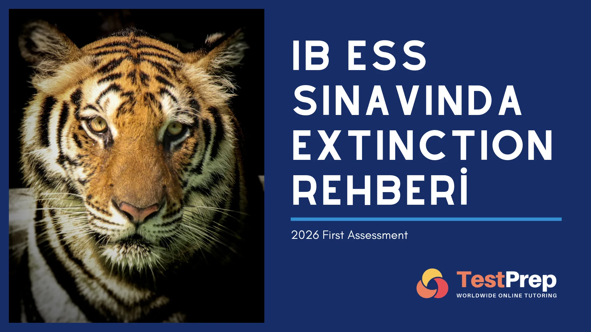 IB ESS Sınavında Extinction Rehberi (2026 First Assessment)